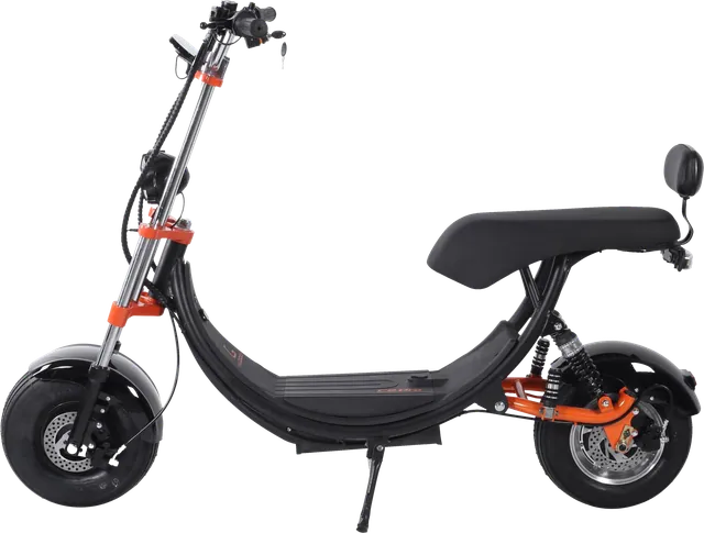 Electric mopeds