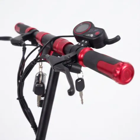 Kugoo D MAX — 2