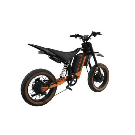 Kugoo E20 X2 — 4