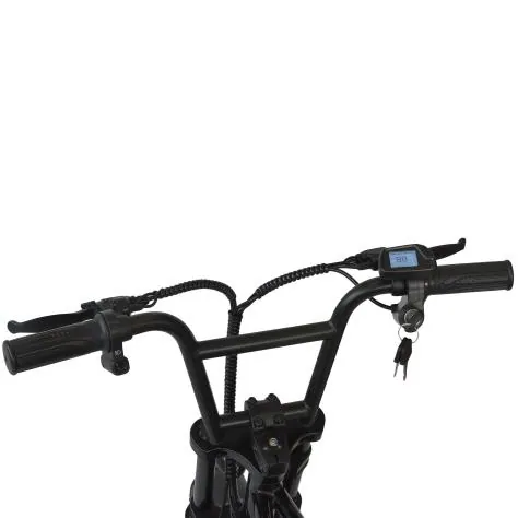 Kugoo EC16 FAT — 3