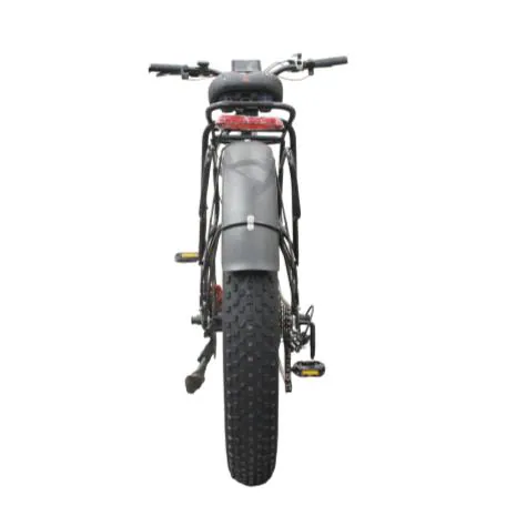 Kugoo F1 Pro X2 — 4