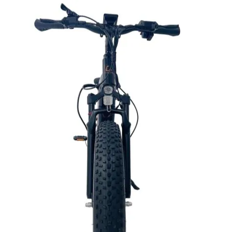 Kugoo F1 X2 — 5