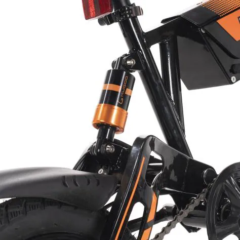 Kugoo First Bike — 2