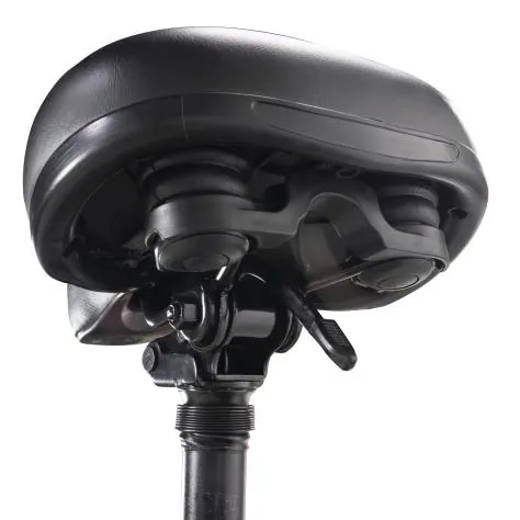Kugoo K20 — 3