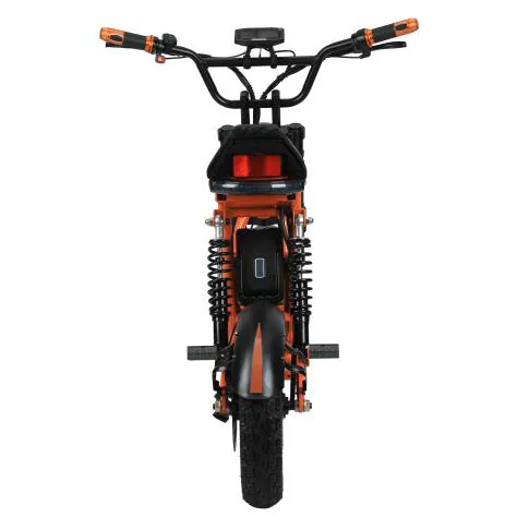 Kugoo R1 — 4